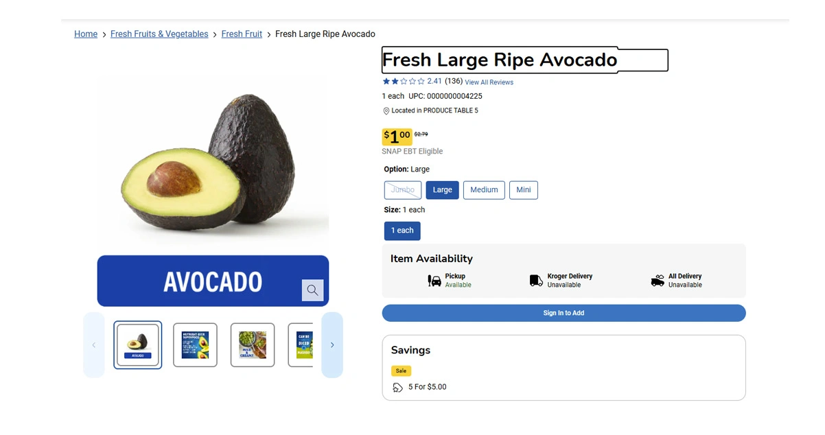 Implementation Process